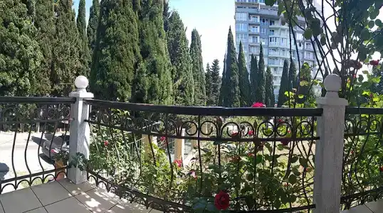 Мечта - 66