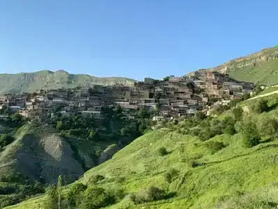 у тёти Ханий - 3