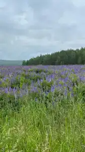 Зюраткуль - 27