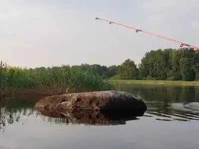 Родная Усадьба - 62