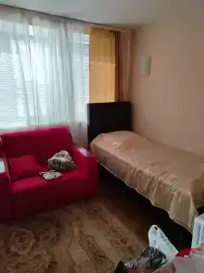 Беловежская пуща. №2 - 56