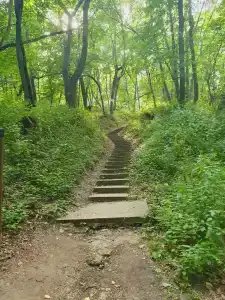 Слюдяночка - 7