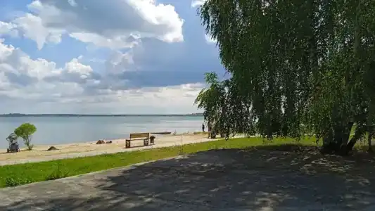 Березовая роща - 3