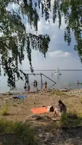 Поляна - 31