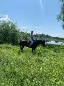 Кон Брио - 10