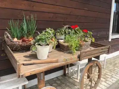 Старая Провинция - 52