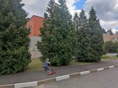 ОГБУЗ Санаторий для детей с родителями - 15