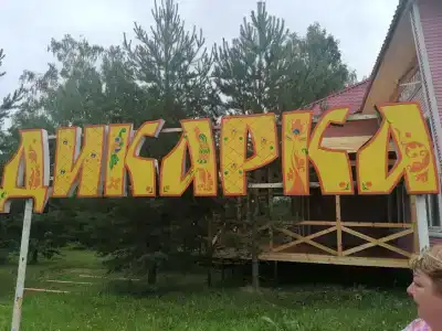Дикарка - 4