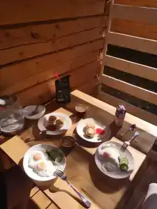 Forest camp - 17