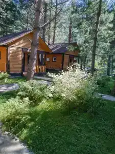 Закуток - 50
