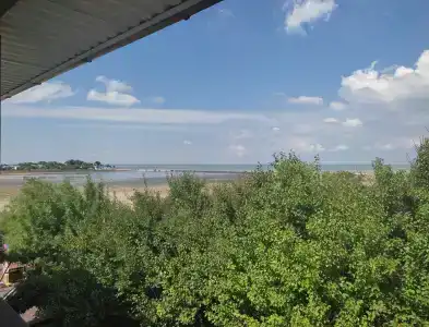 Совы - 34