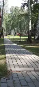 Берёзка - 44