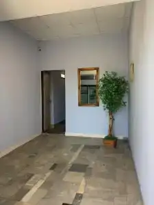 Прадо - 4