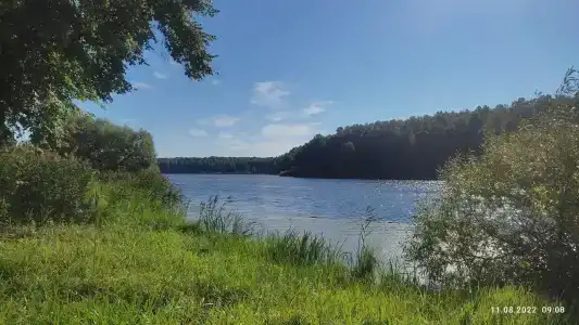 Веселый Роджер - 16