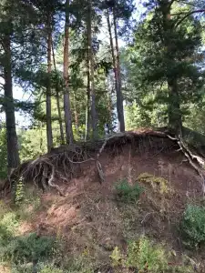 Крутые горки - 21