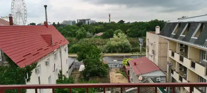Кипарис - 5
