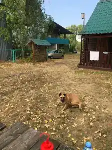 Солнечная Поляна - 39