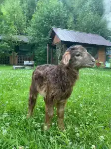 Солонечный - 25