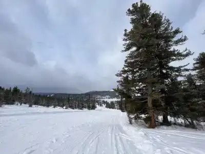 Сноупорт - 9
