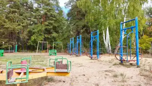 Сосновые дома - 10