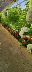 Морское Небо - 11