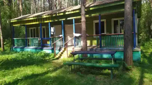 Лесная здравница - 14