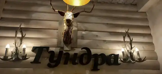 Тундра - 25
