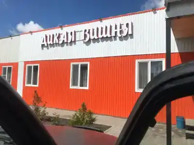 Дикая Вишня - 0