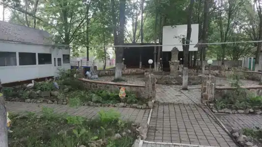 Дубовая Роща - 16