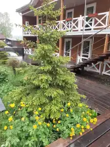 Крестовая Падь - 18