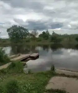 Стеклянный берег - 15