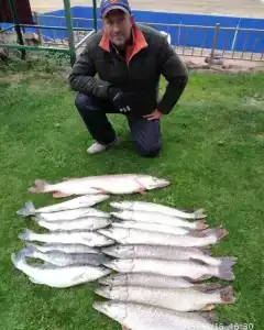 Промысловая - 65