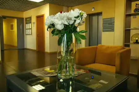 Стандарт - 36