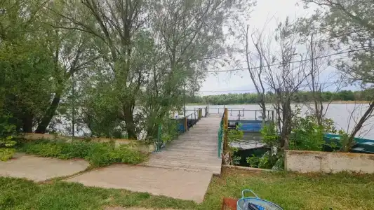 Розовый Фламинго - 28
