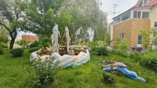 Розовый Фламинго - 1