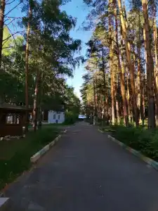 Кусторка - 8