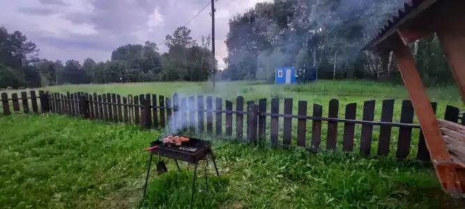 Волшебный лес - 4