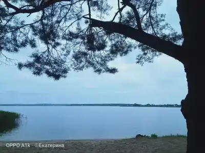 Солнечная лагуна - 6