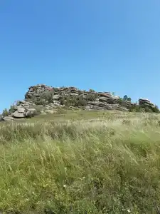 Золотые пески - 33