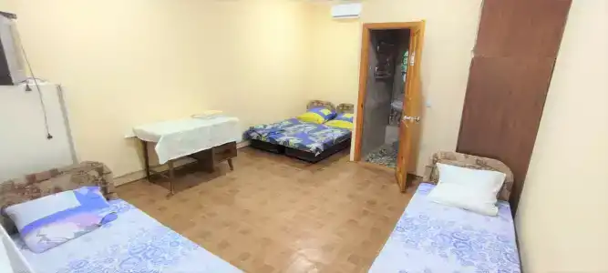 Памир - 31