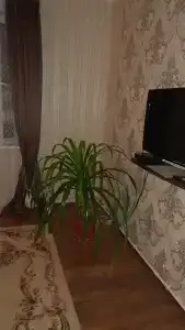 Радуга - 57