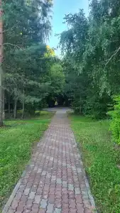Борок - 47