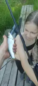 Акбаш - 40