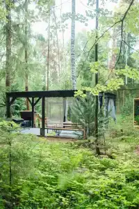 Окна в лес - 33