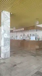 Феникс - 12