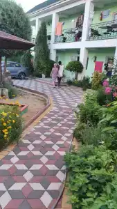 Флора - 15