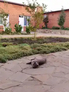 Тихий Дон - 6