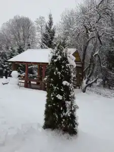 Русские просторы - 12