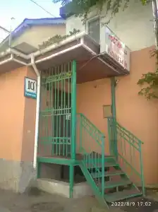Каштан - 24