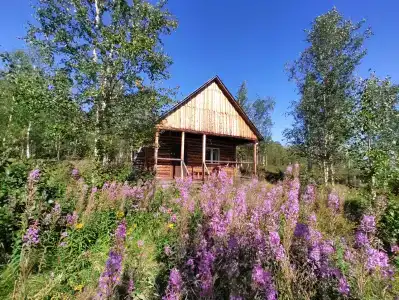 Сердце Севера - 1